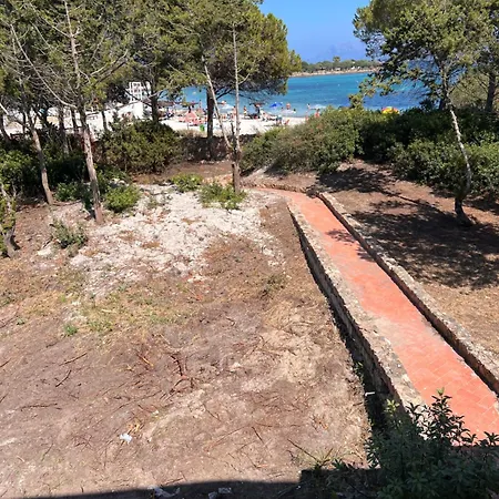 Casa de hóspedes The Olbia