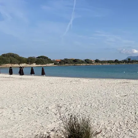 The Olbia